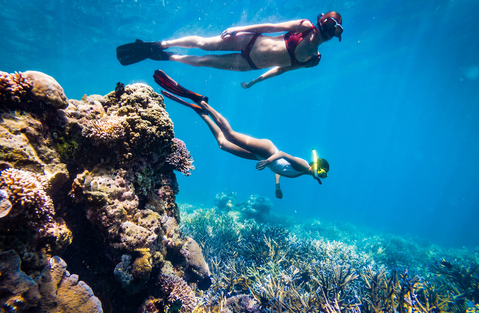 Two women diving