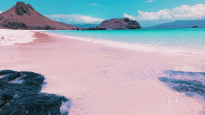 Pink beach Komodo