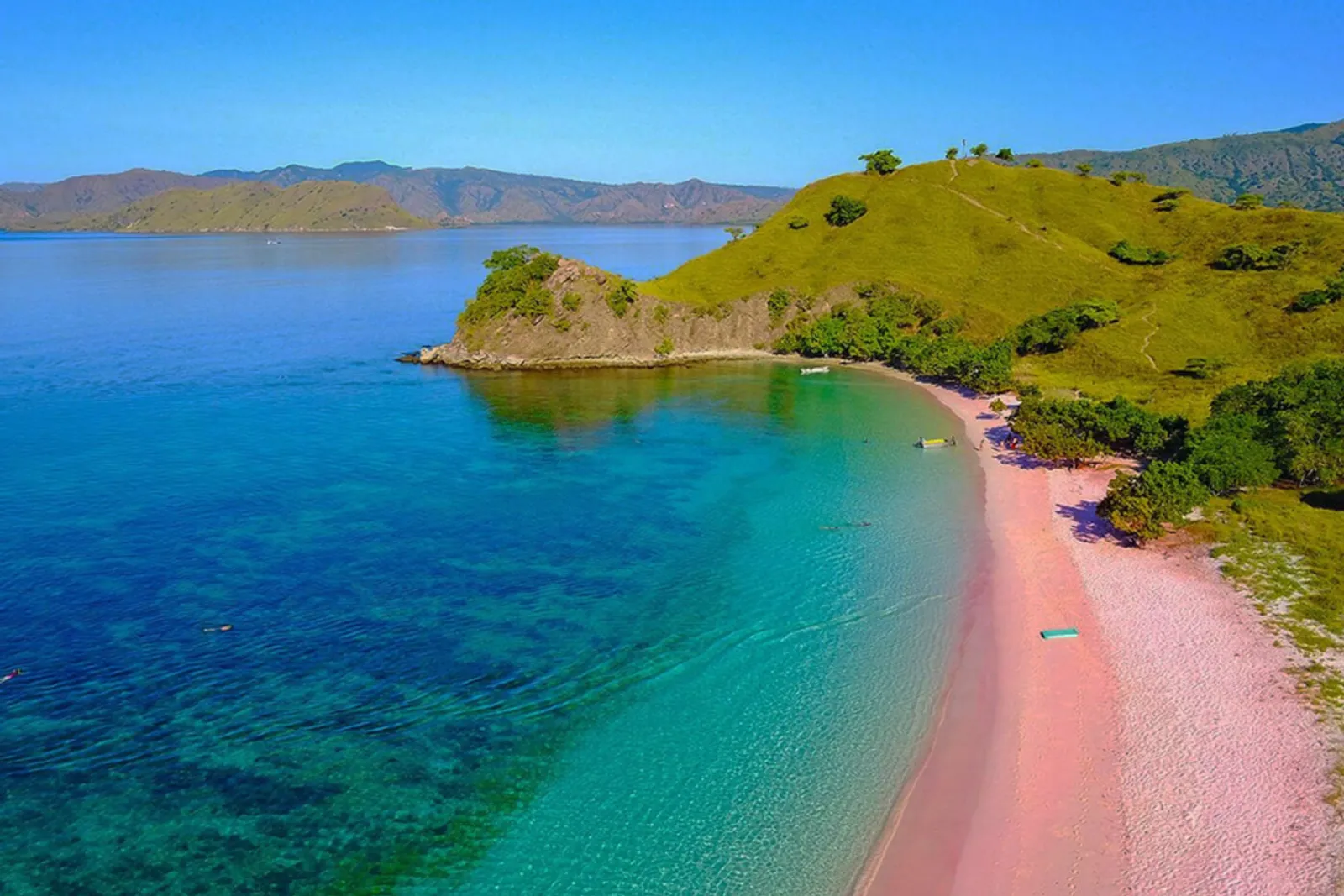 Pink beach in Komodo National Park