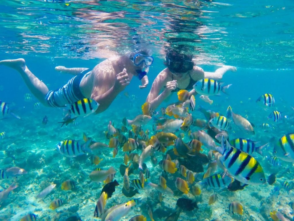 Two people snorkelling