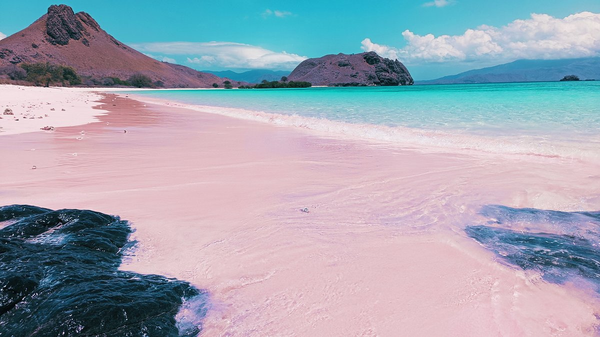 Padar Island's pink beach and ocean