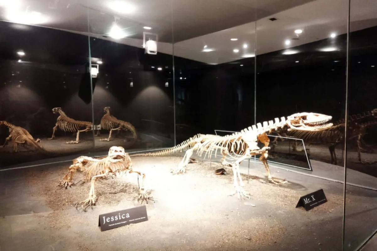 Niang Komodo Museum in Rinca Island, Komodo, Indonesia