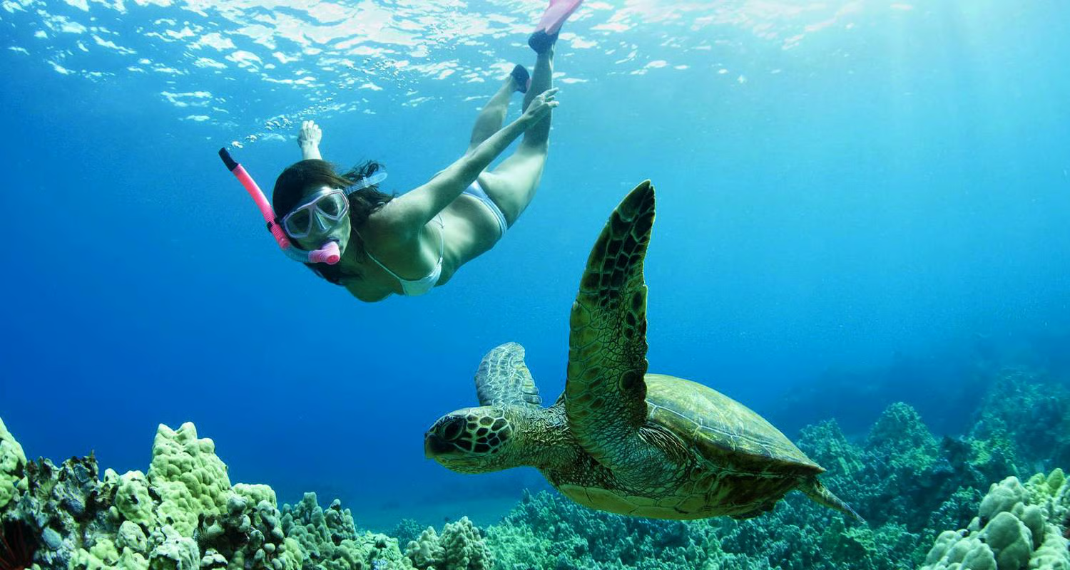 A woman snorkelling next to a sea turtle