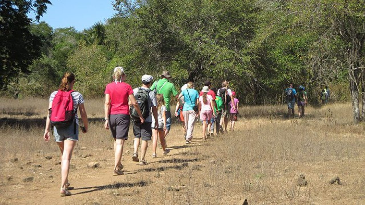 A group of people trekking in Rinca Island
